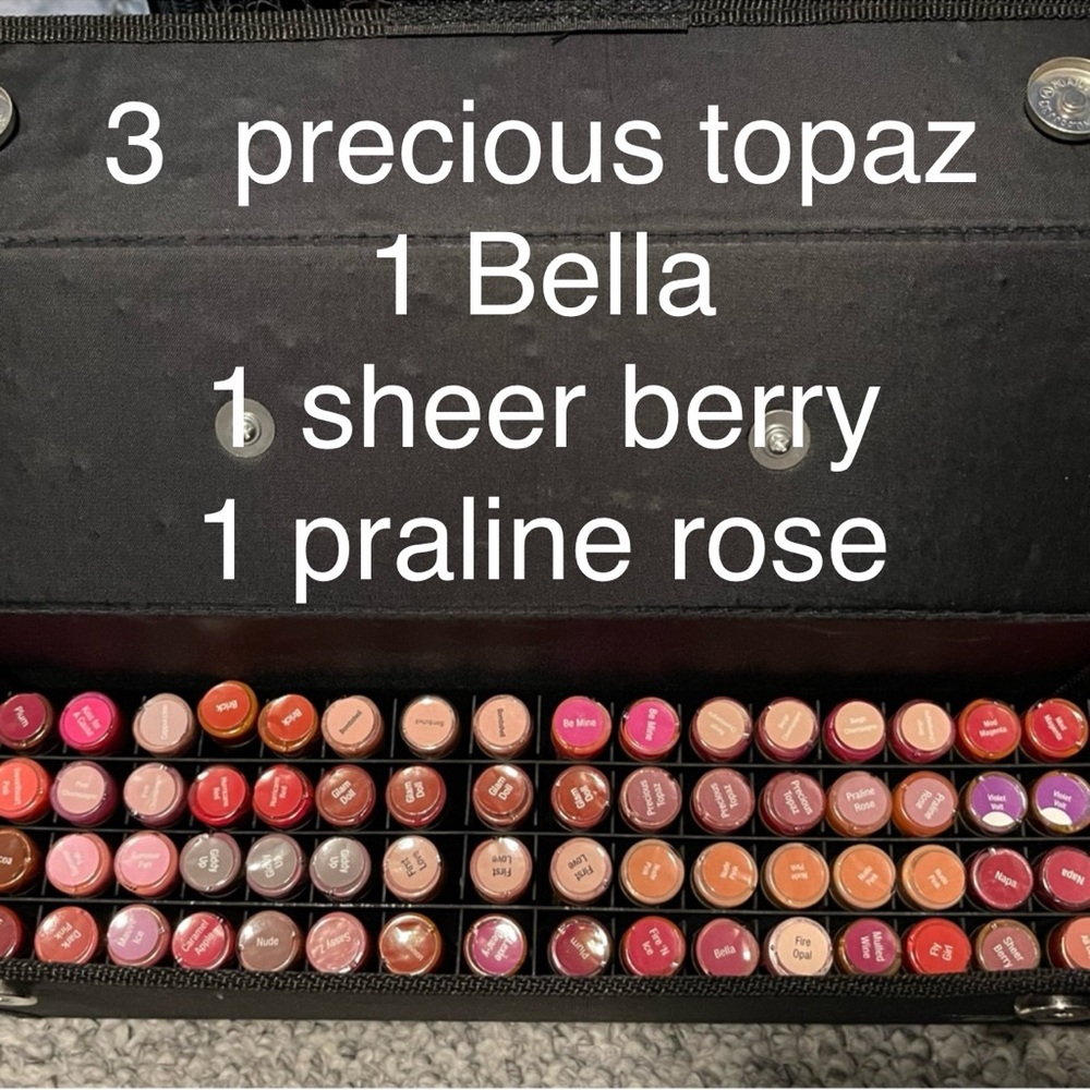 LipSense (6)